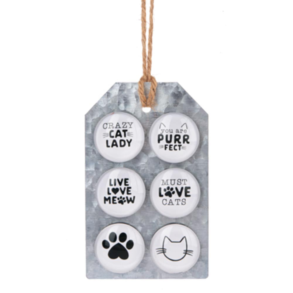 Cat Lover Cute Fridge Magnets Set of 6