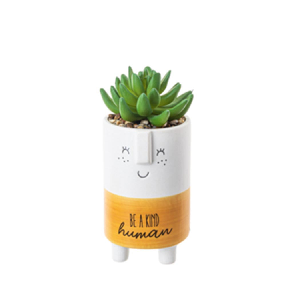 Cute Kindness Pot With Artificial Plant & Inspirational Message - Be Kind