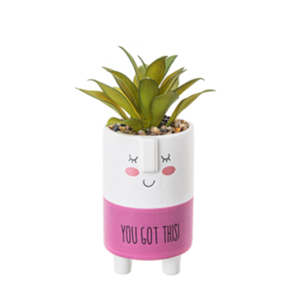 Cute Kindness Pot With Artificial Plant & Inspirational Message - Got This
