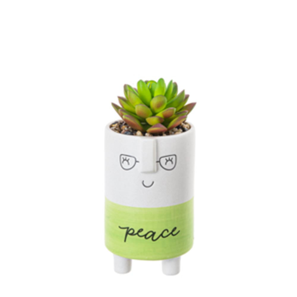 Cute Kindness Pot With Artificial Plant & Inspirational Message - Peace